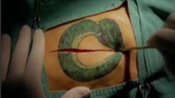 Snake