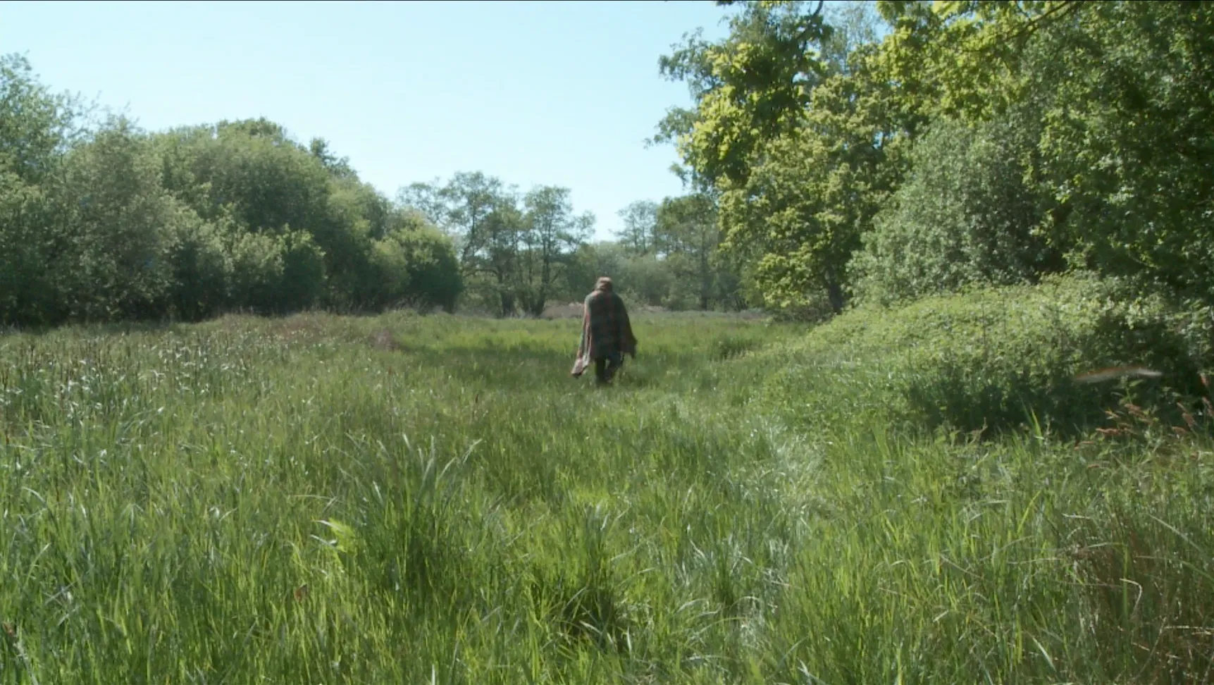 A man in a tartan cape, with his back turned, walking into a field