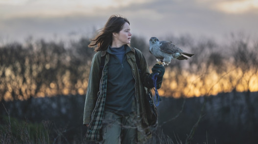 H is for Hawk
