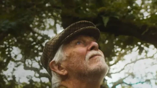 An image of Robin Hanbury-Tenison in his home forest in Cornwall