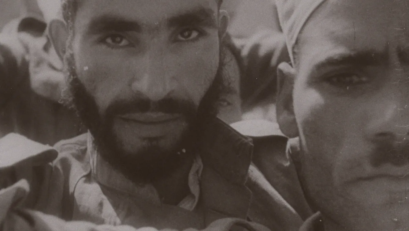 Third Person (Plural)