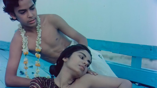 The Story of Documentary Film