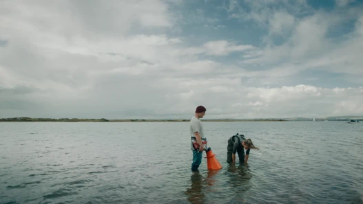 Two figures stand in the sea, one is holding a workbook, the other is leaning over looking into the sea on an overcast, grey day. The sea that surrounds them is calm.