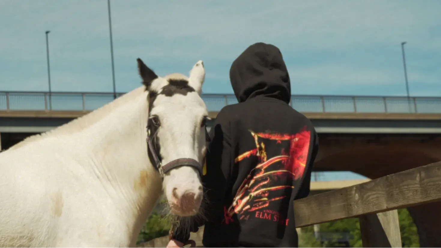 A girl wearing a hoodie, seen from behind standing in front of a white horse