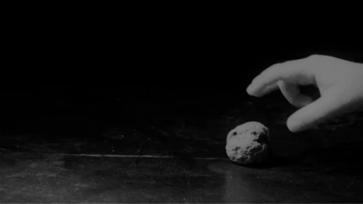 The hand of a child reaches out to pick up a walnut from the floor.