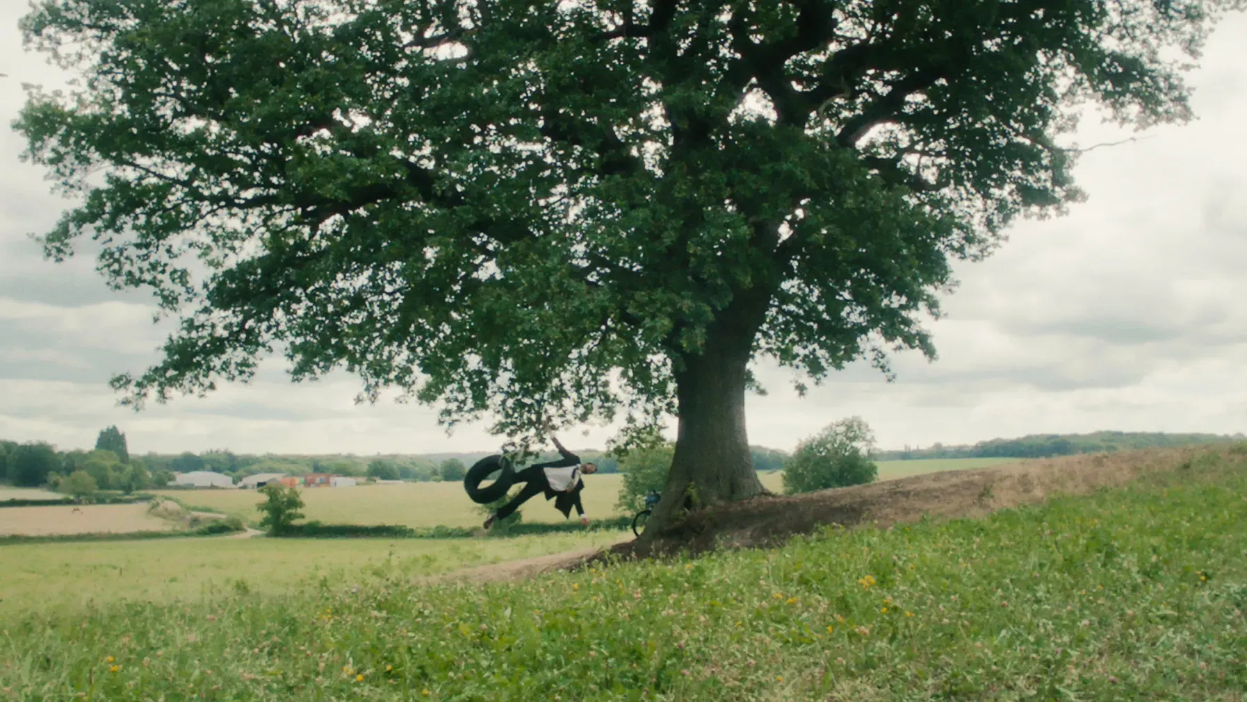 A man swinging from a tire swing. The swing is attached to the branches of a large tree in the middle of a farm field.