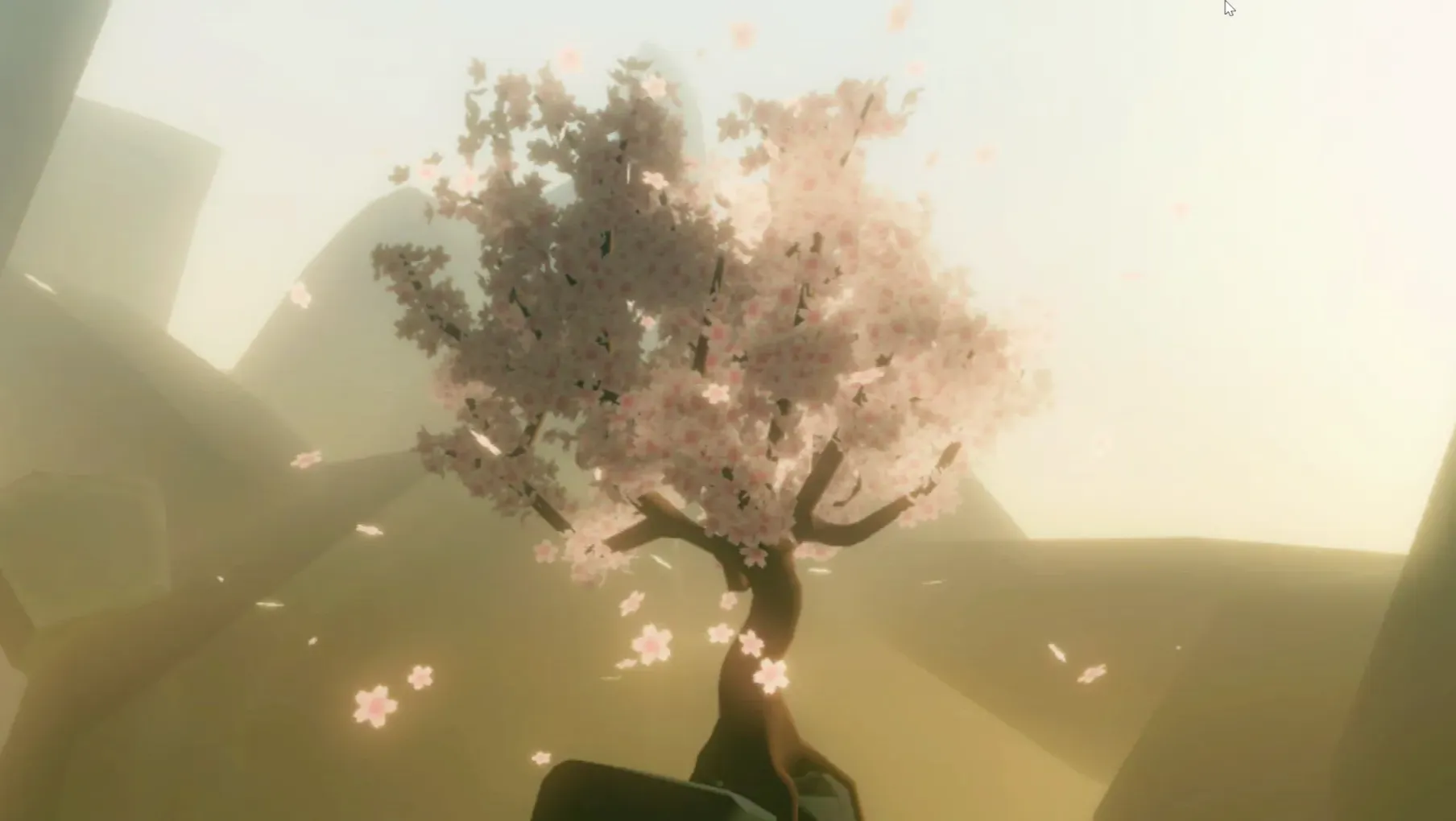 A VR image. A cherry blossom tree in summer, where blossoms are gently falling in the breeze