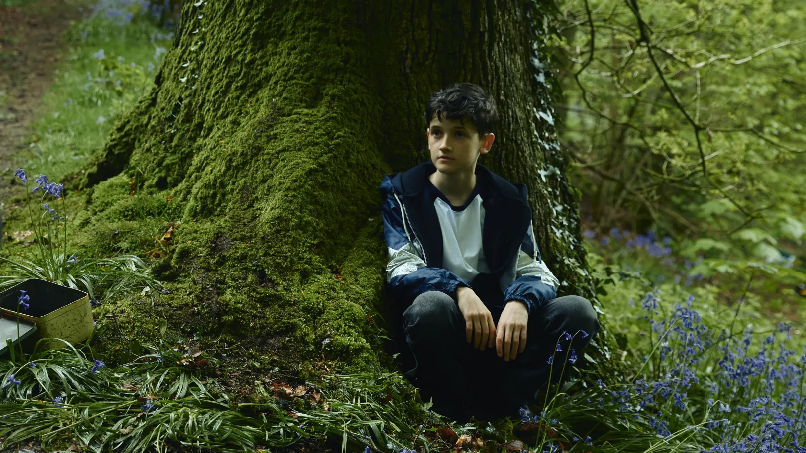 A young boy sitting in a forest