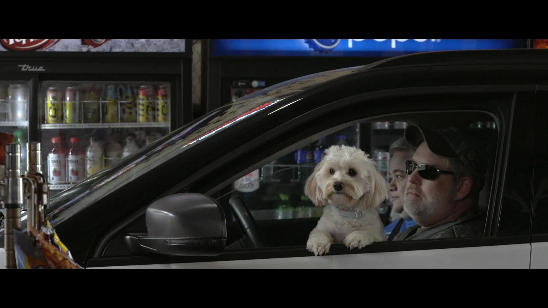 A dog peering out of the window at a drive in