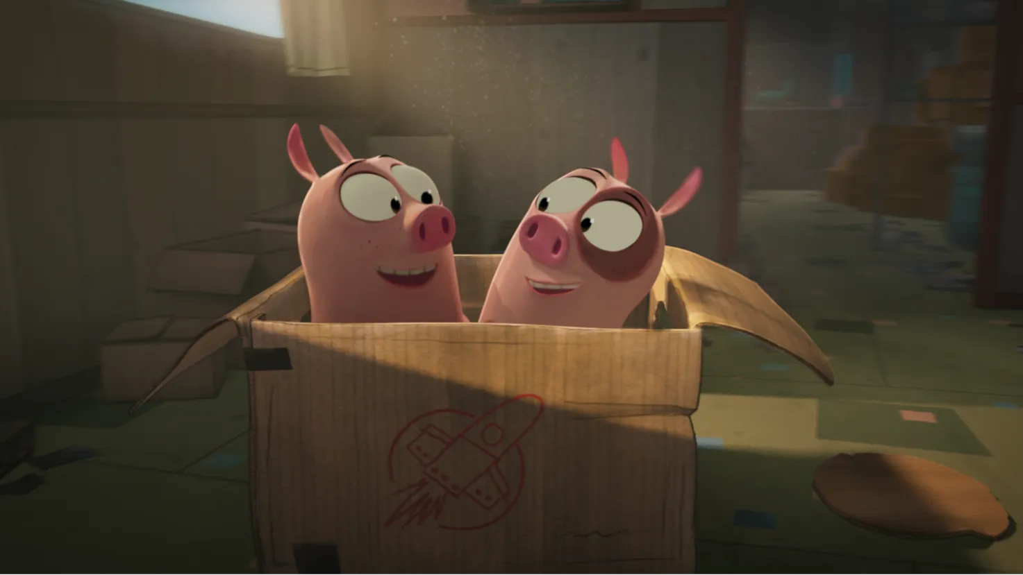 Piglets find a cardboard box to play in