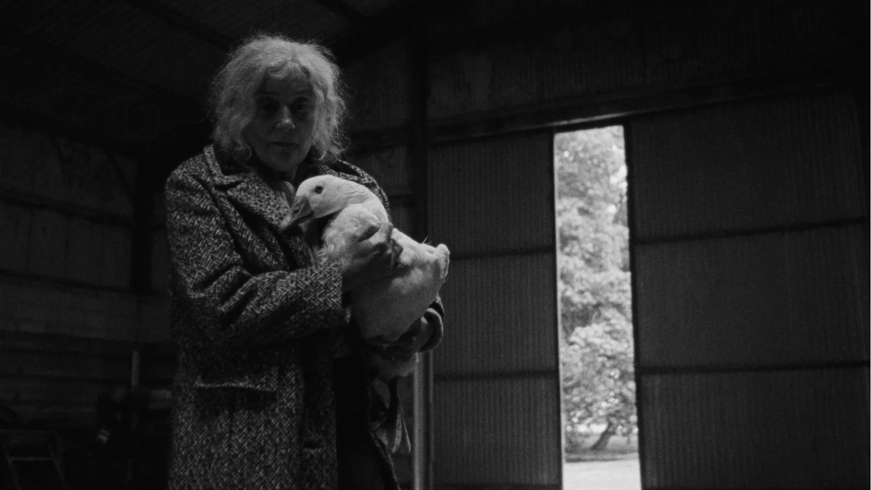 A woman holds a goose in in her arms.