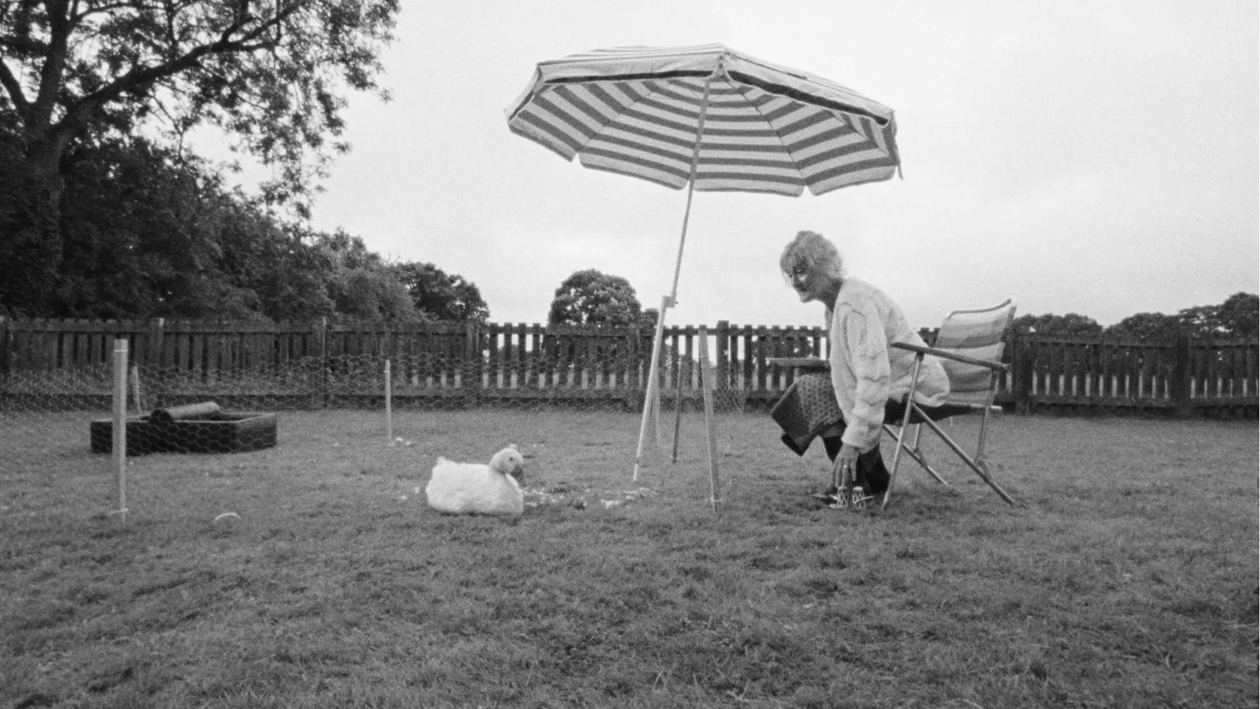 A goose rests on a garden lawn next to a woman seated in a deckchair under a parasol.