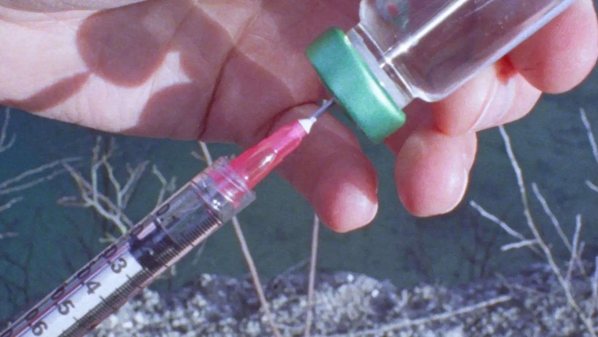 Estradiol is drawn using a syringe upon the edge of a lake in RESURRECT ME AS A PARASITE