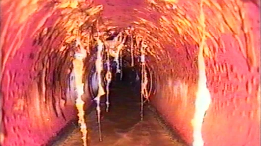 Economy of Excess, film still