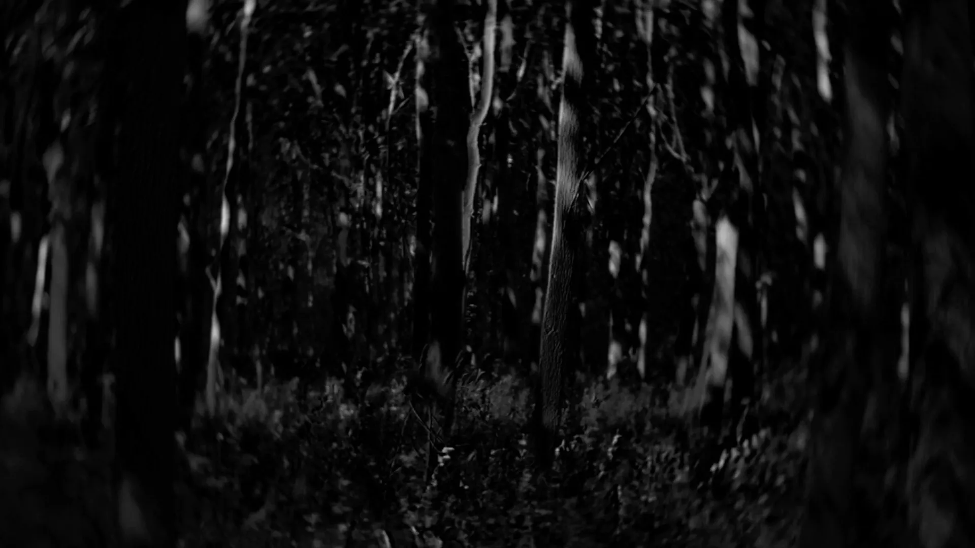 The Grove: Reveries of a Village Ghost