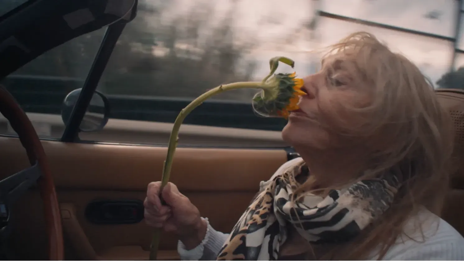 A woman behind the wheel of an open-topped car in motion, holding one sunflower to her nose
