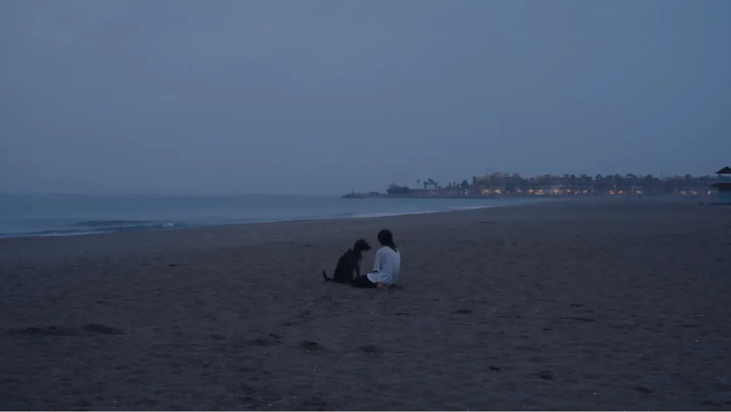 A woman and a dog sit on the beach at dusk. The dog looks at the woman, the woman looks out to sea. There are buildings and lights in the disatnce.