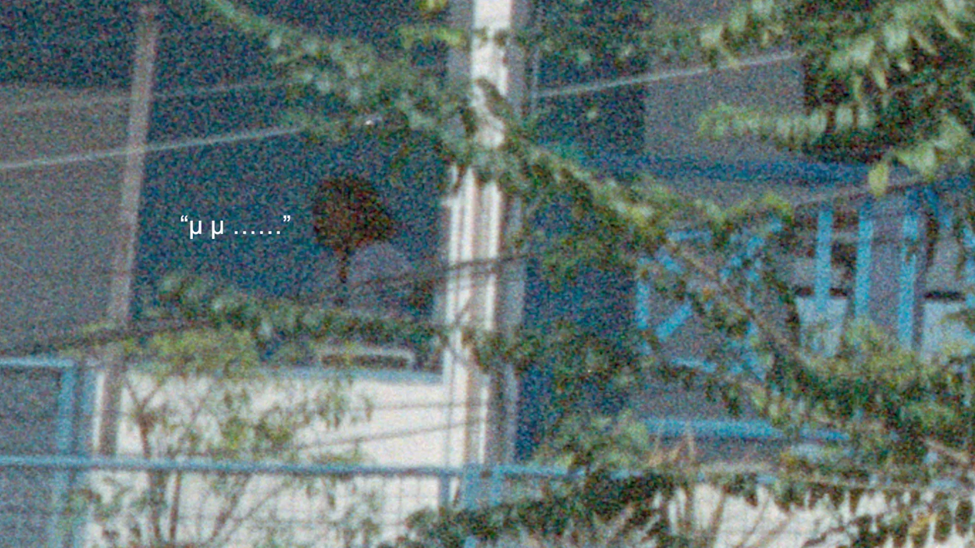 How to Be a Ghost in Bangkok?