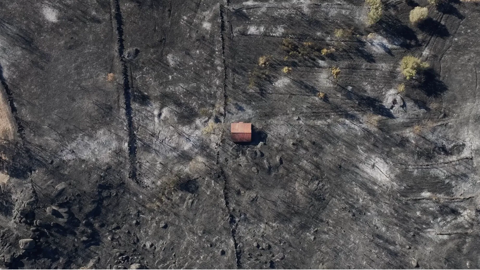 A high overhead shot of house after a wildfire