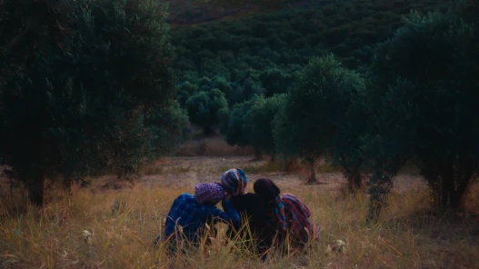 A group of women sitting in their olive groves.