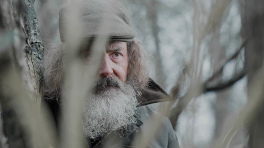 A man is watching through the trees.