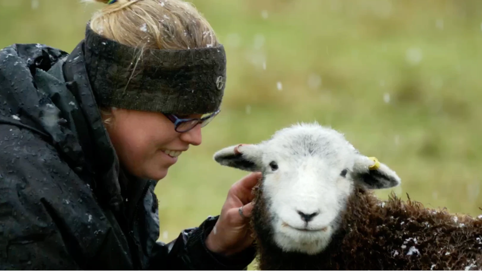 A farmer, Abby Cook, tending to a sheep in snowy Cotswold fields