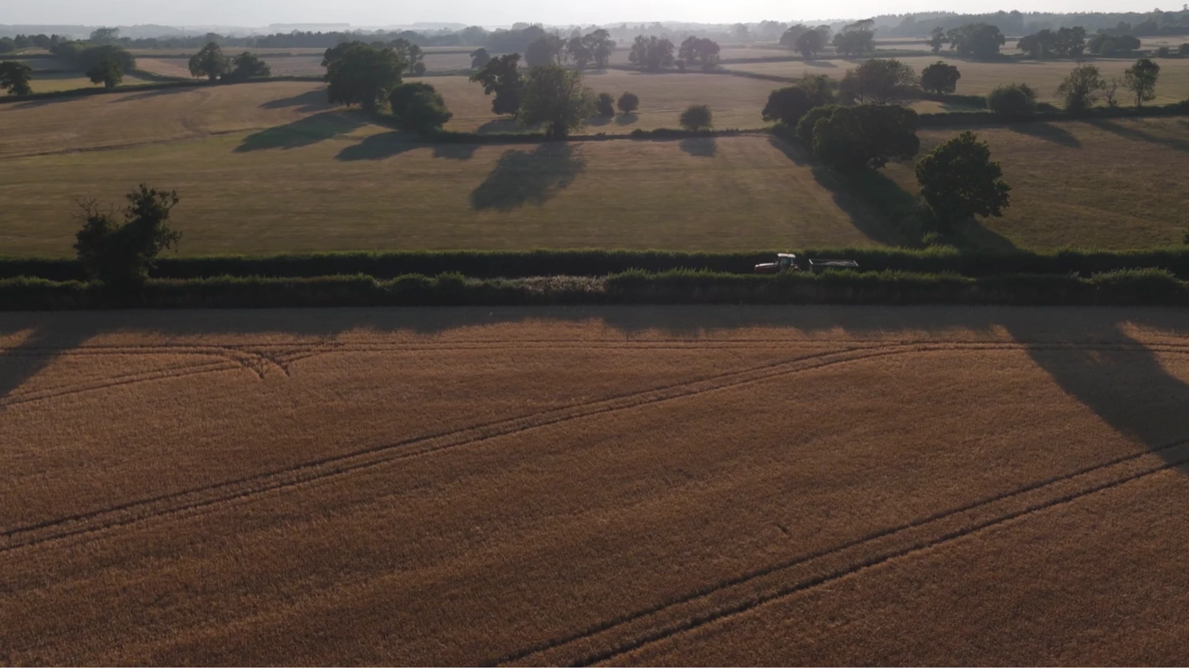 A tractor harvesting golden fields in the Cotswolds under a summer sun, aerial view.