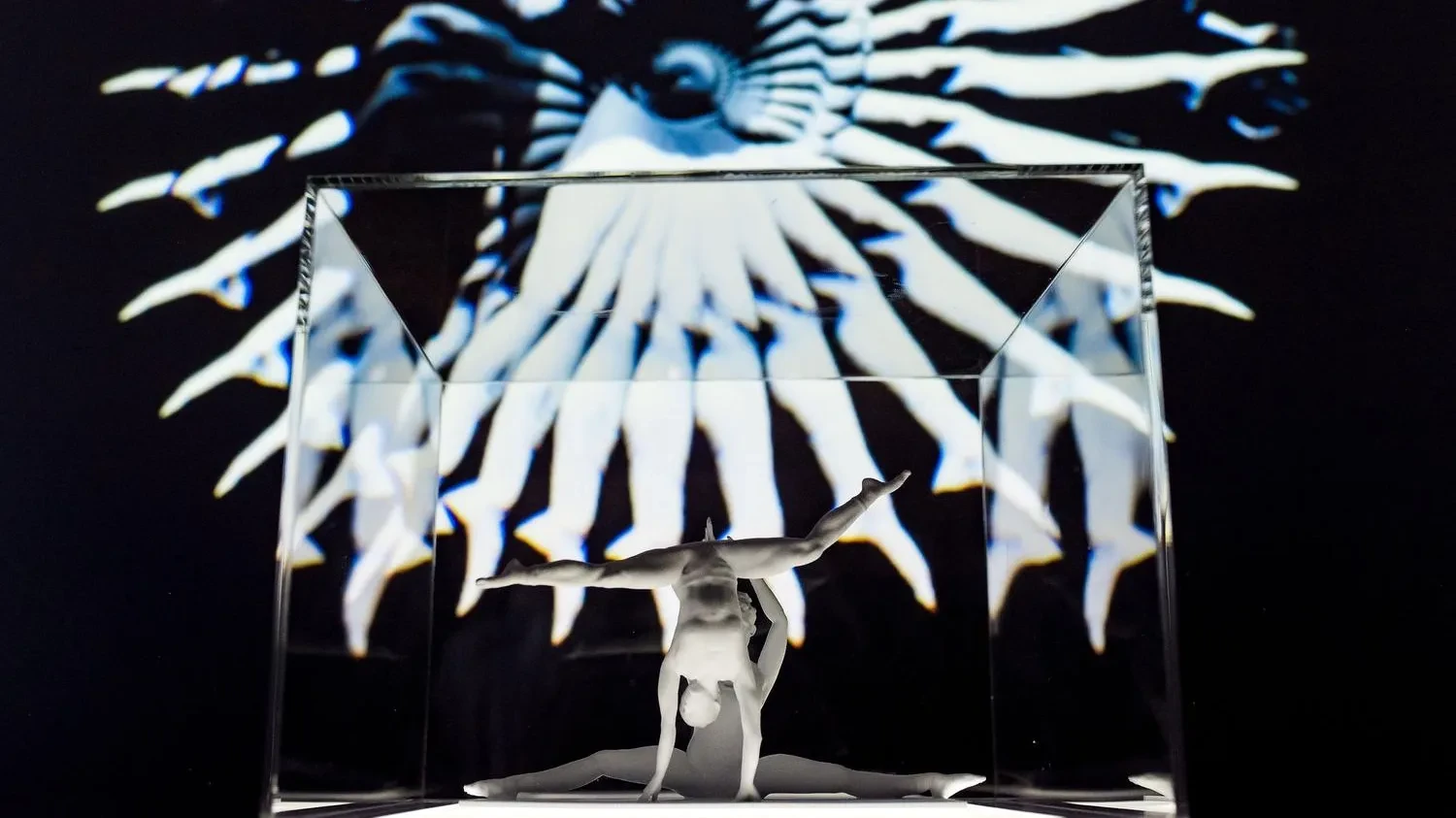 A close up of a 3d printed sculpture of a female duet displayed in a vitrine in front of a projection of a digital image of the photograpmetry of the duet