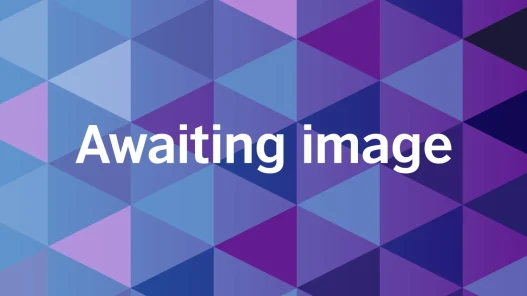 awaiting image