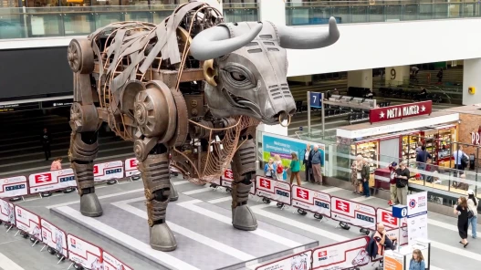 The Big Bull