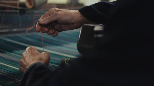 Two hands hold a thread of wool during the process of weaving tartan