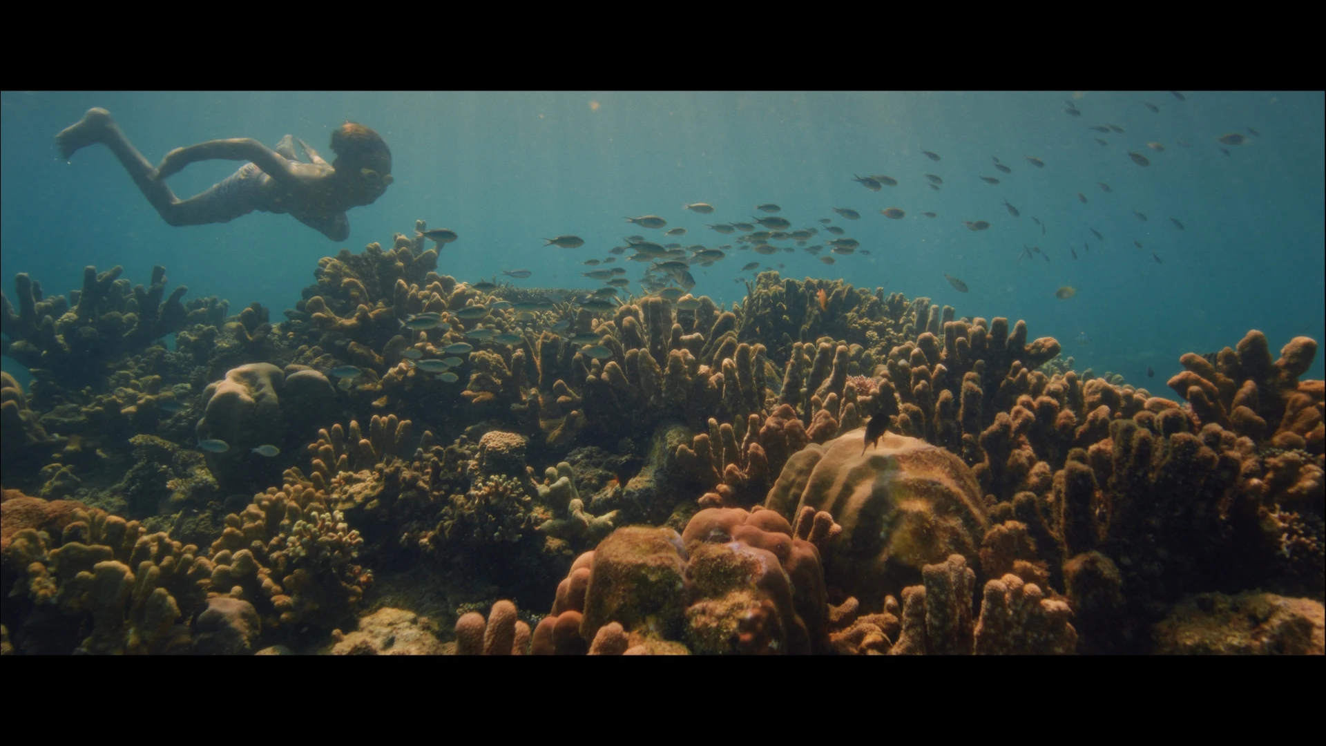 boy swims over natural reef in Indonesia