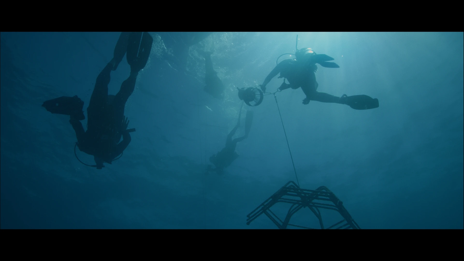 People underwater carrying a net, installing Reef Stars, Hawai'i