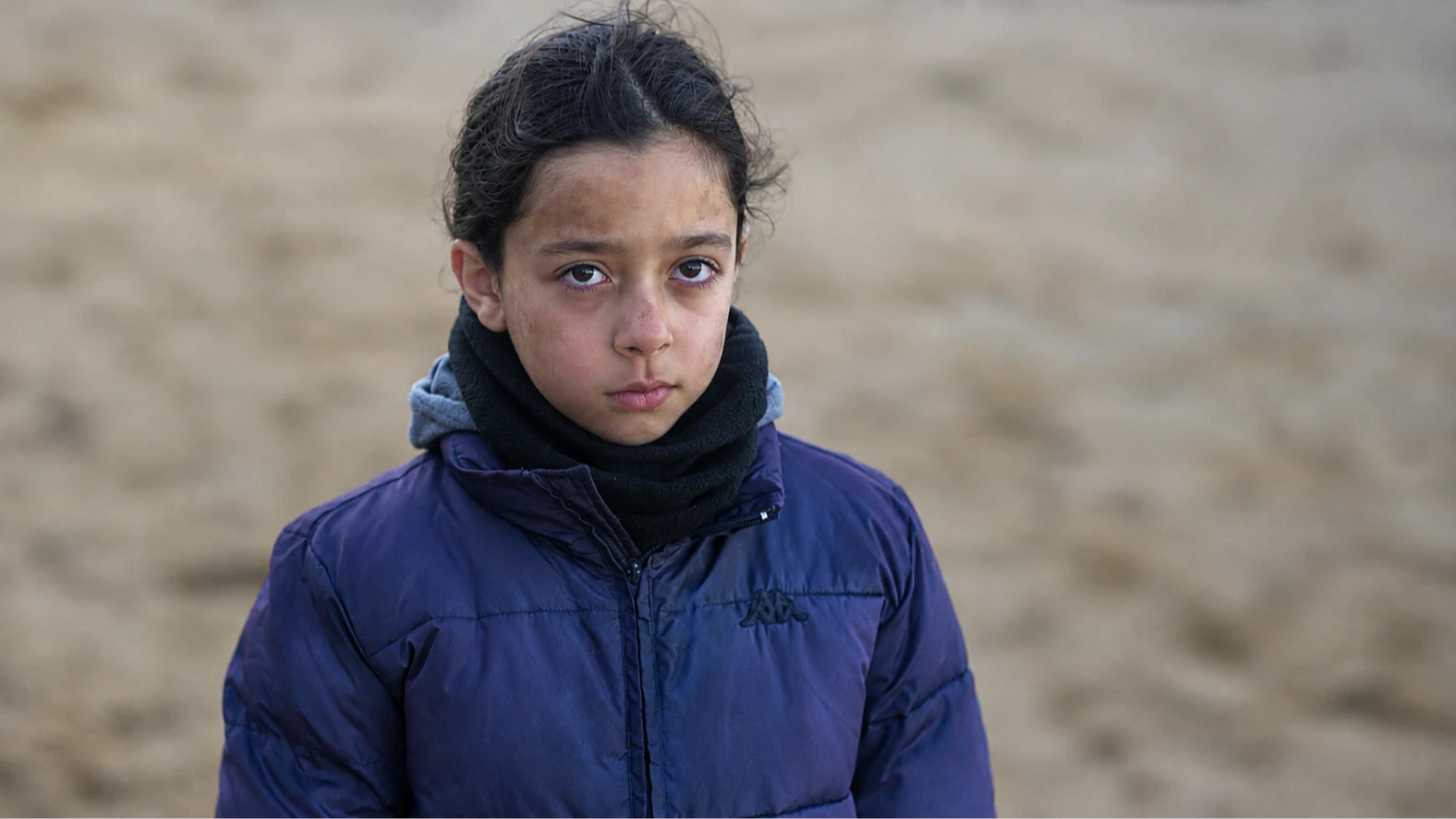 Arnika Hashemi Nasab