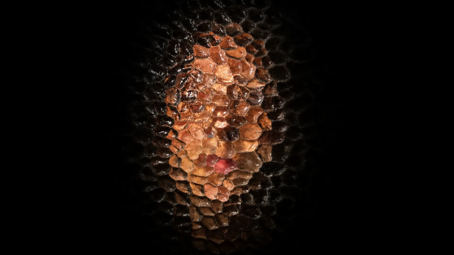 blurred out image of a face