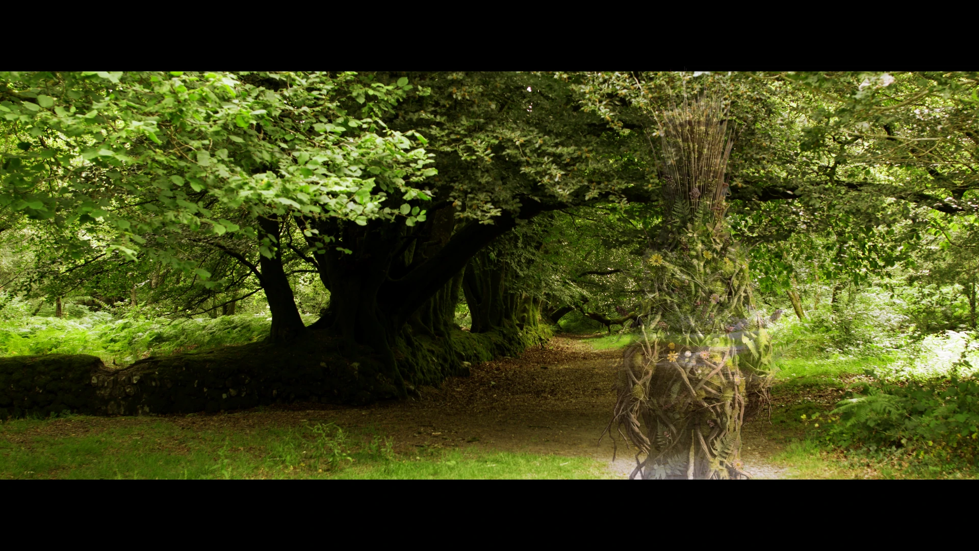 The Forest God leads Emma through the wood.