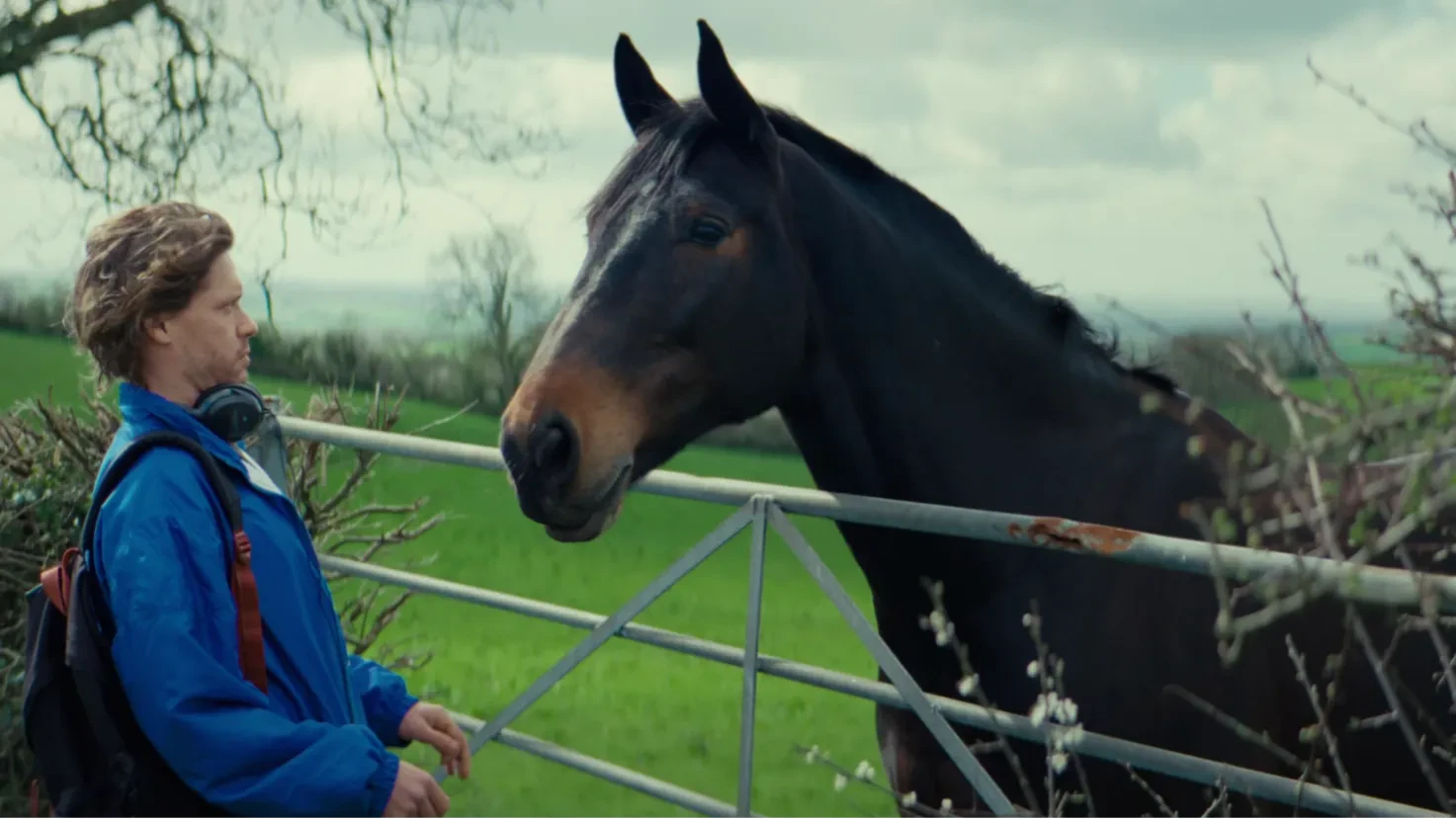 Jay meets a horse for the first time.