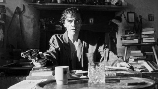 In the Hand of Dante