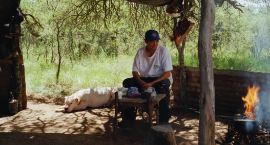 Double Freedom (La libertad doble)