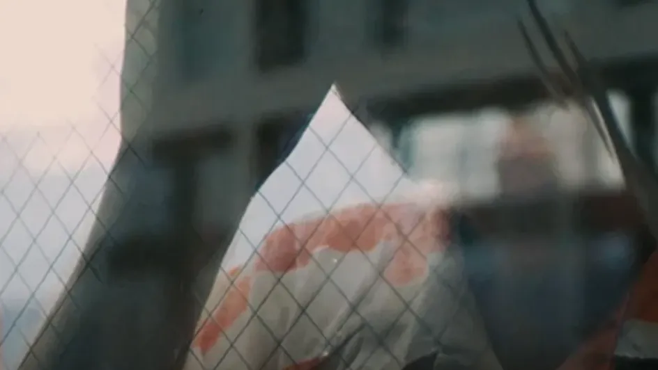 Madness and Honey Days