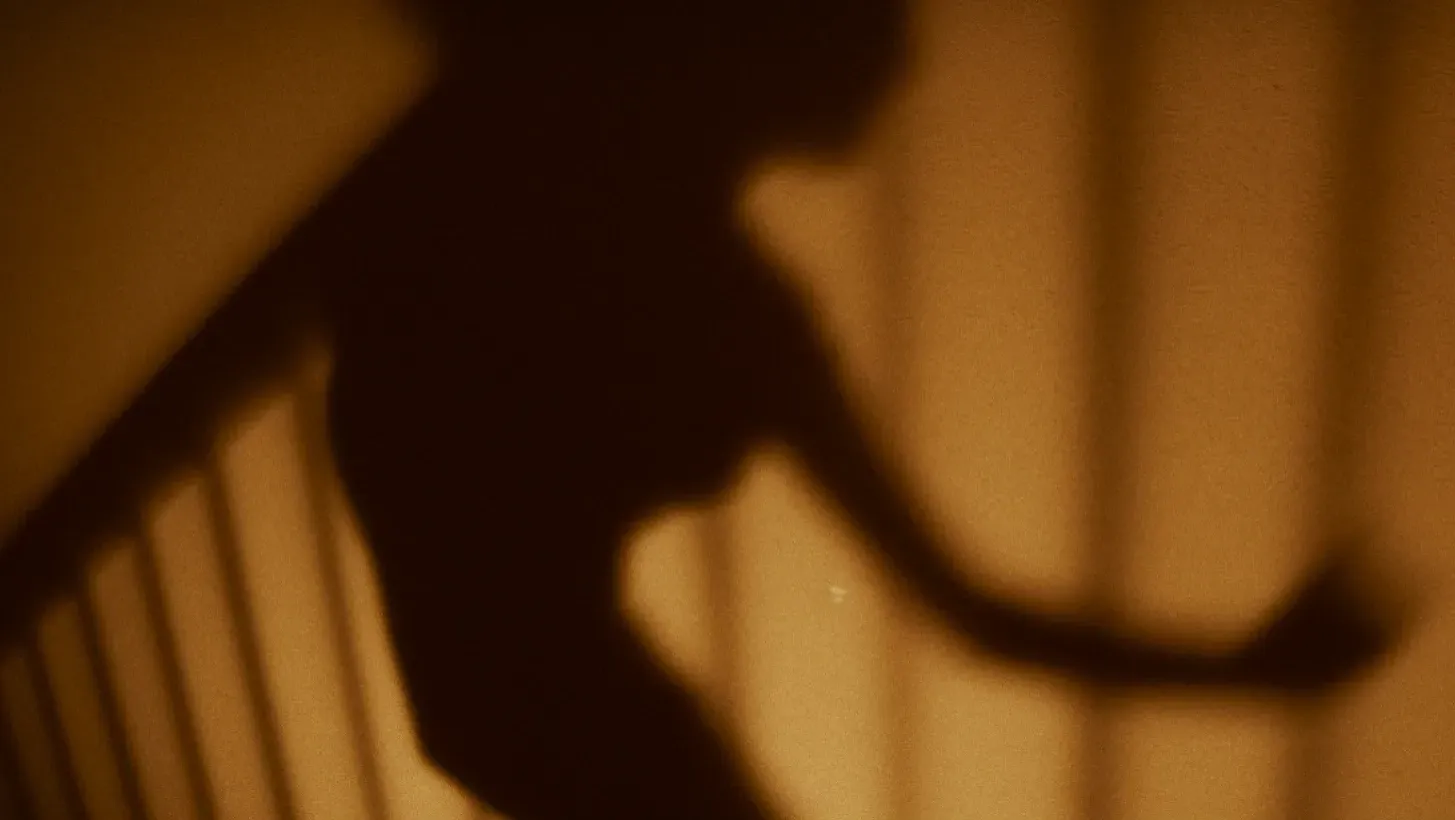 The shadow of a woman on the stairs