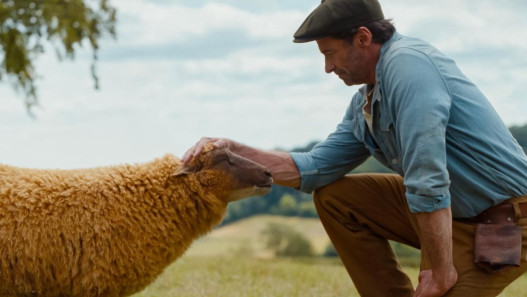 The Sheep Detectives