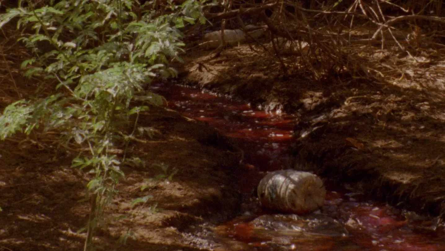 Medium shot of a red stream running through landscape with green plant in the foreground.