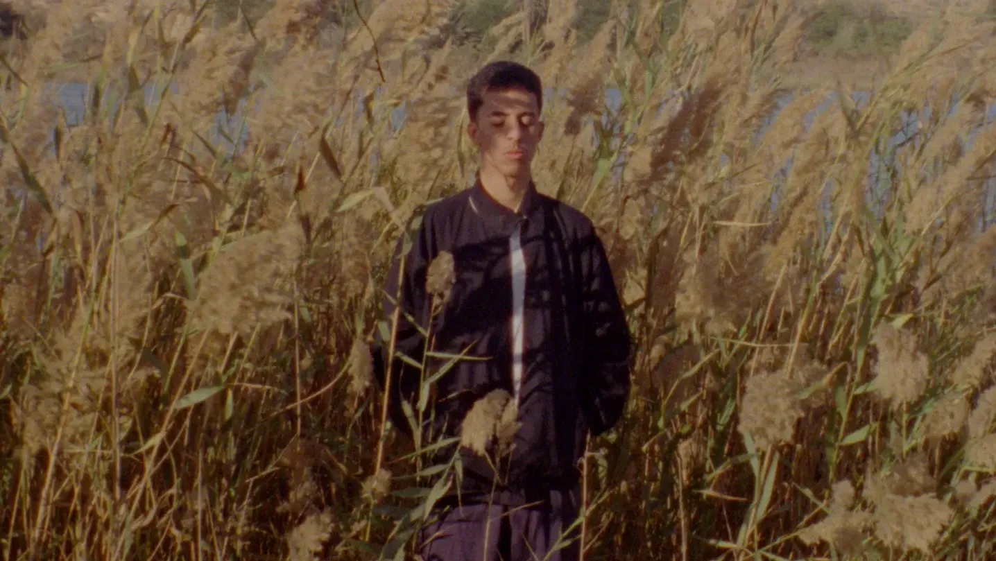 Young man with dark hair and black jacket stands with his eyes closed in a field of common reed.