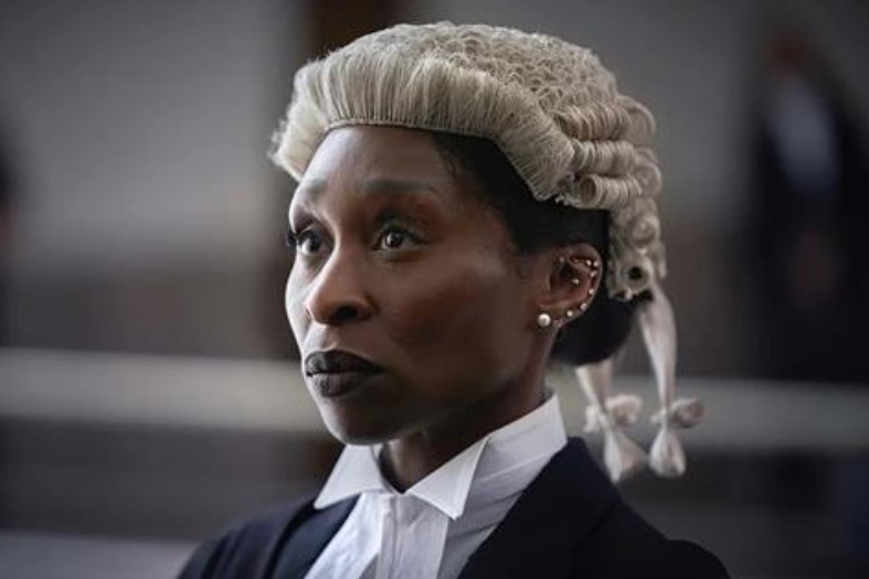 A woman wearing barristers wig faces a courtroom