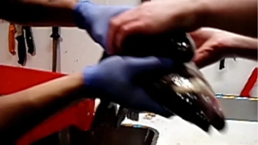 a fish passing between two pairs of hands