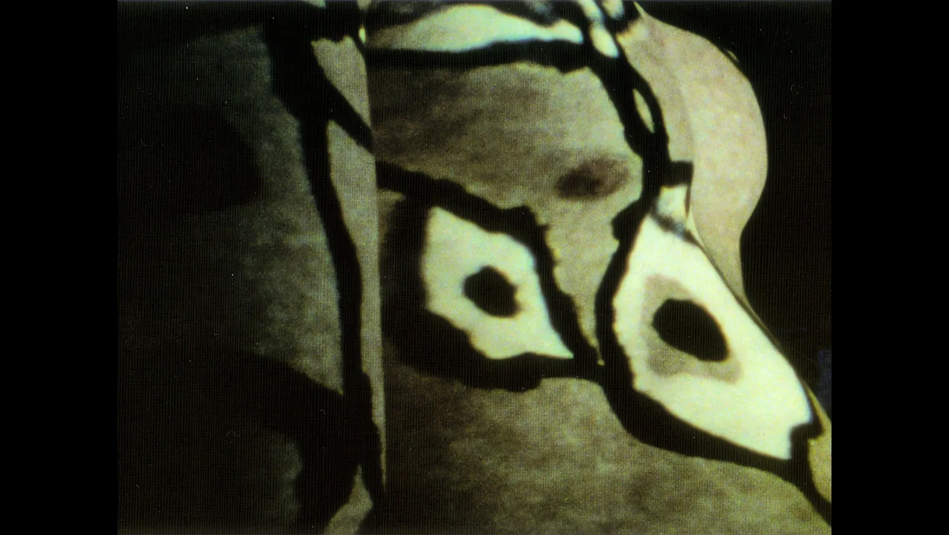 Abstract black shapes projected over a textured surface