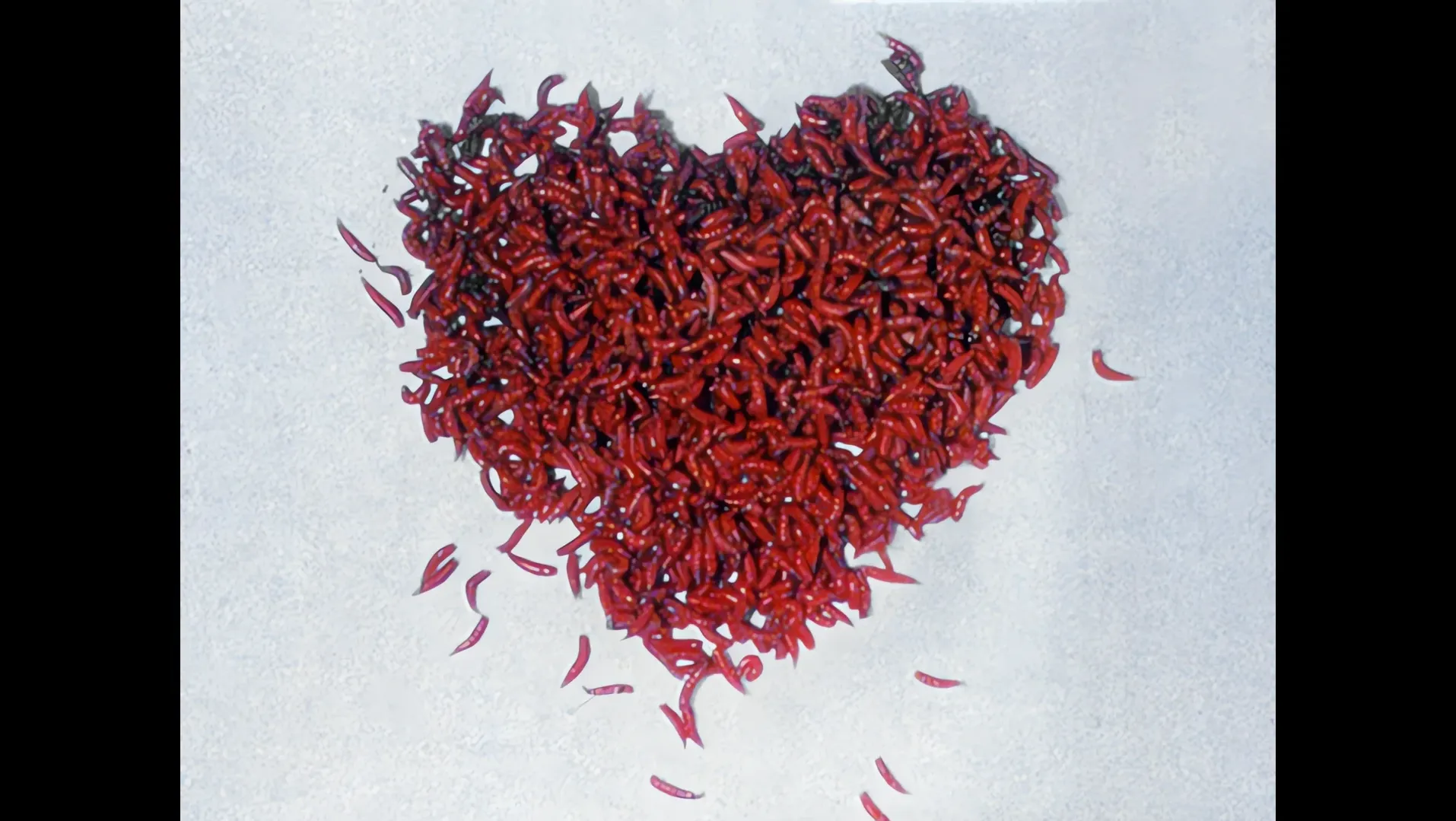 A heart shape made of red petals on a pale background