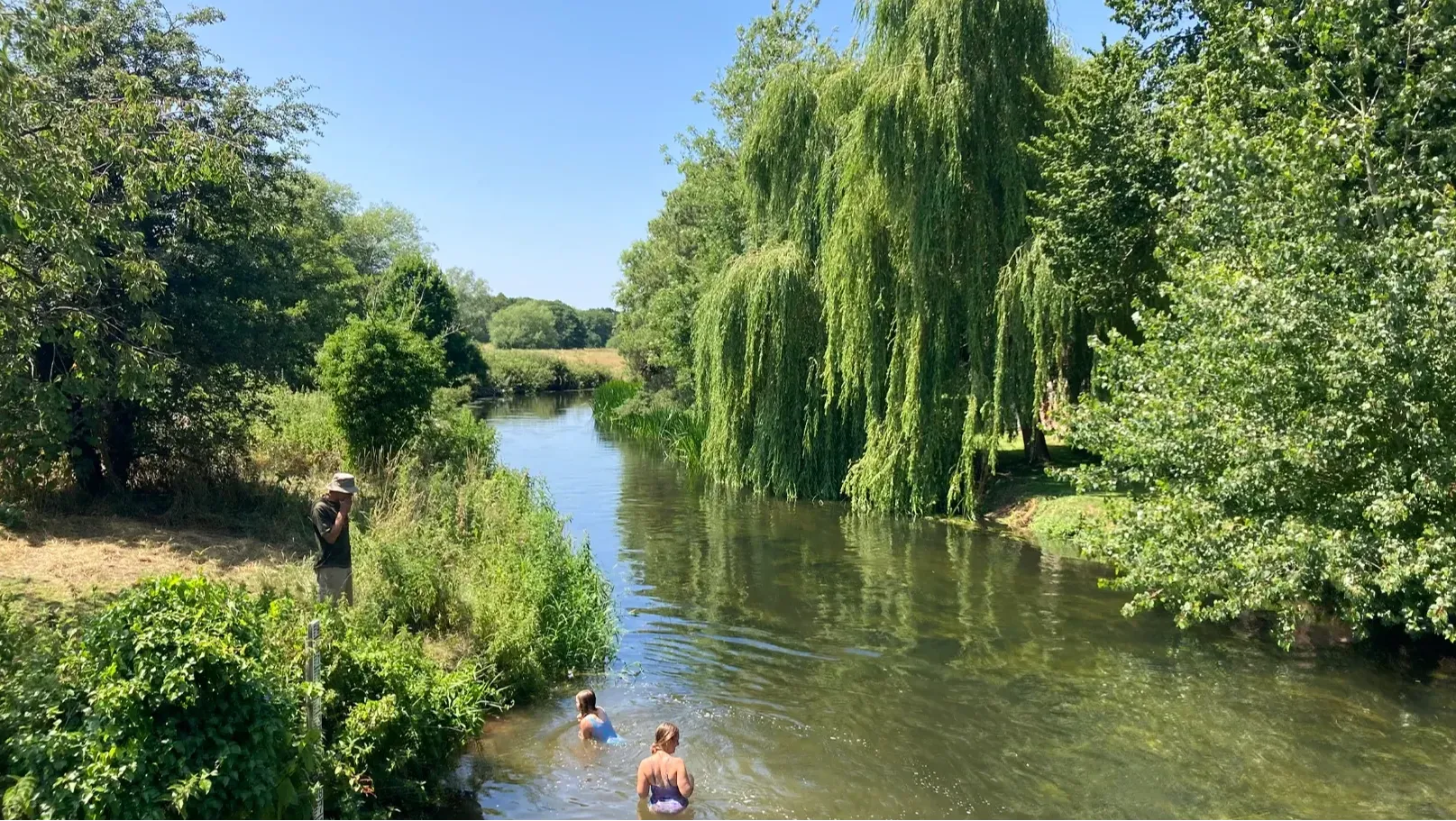 A family swimming in a river in mid-Kent