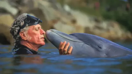 Freeing Flipper